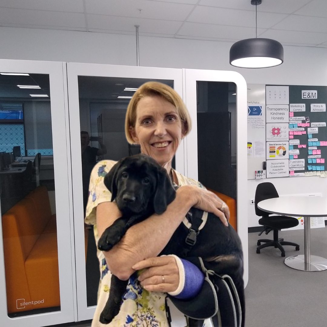 A woman holding a black guide dog puppy.
